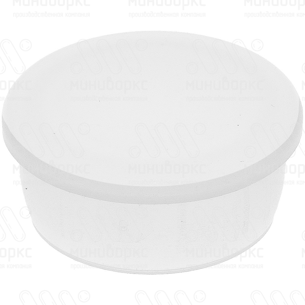 Мебельные заглушки для отверстий  24 – TTP24 | картинка 1